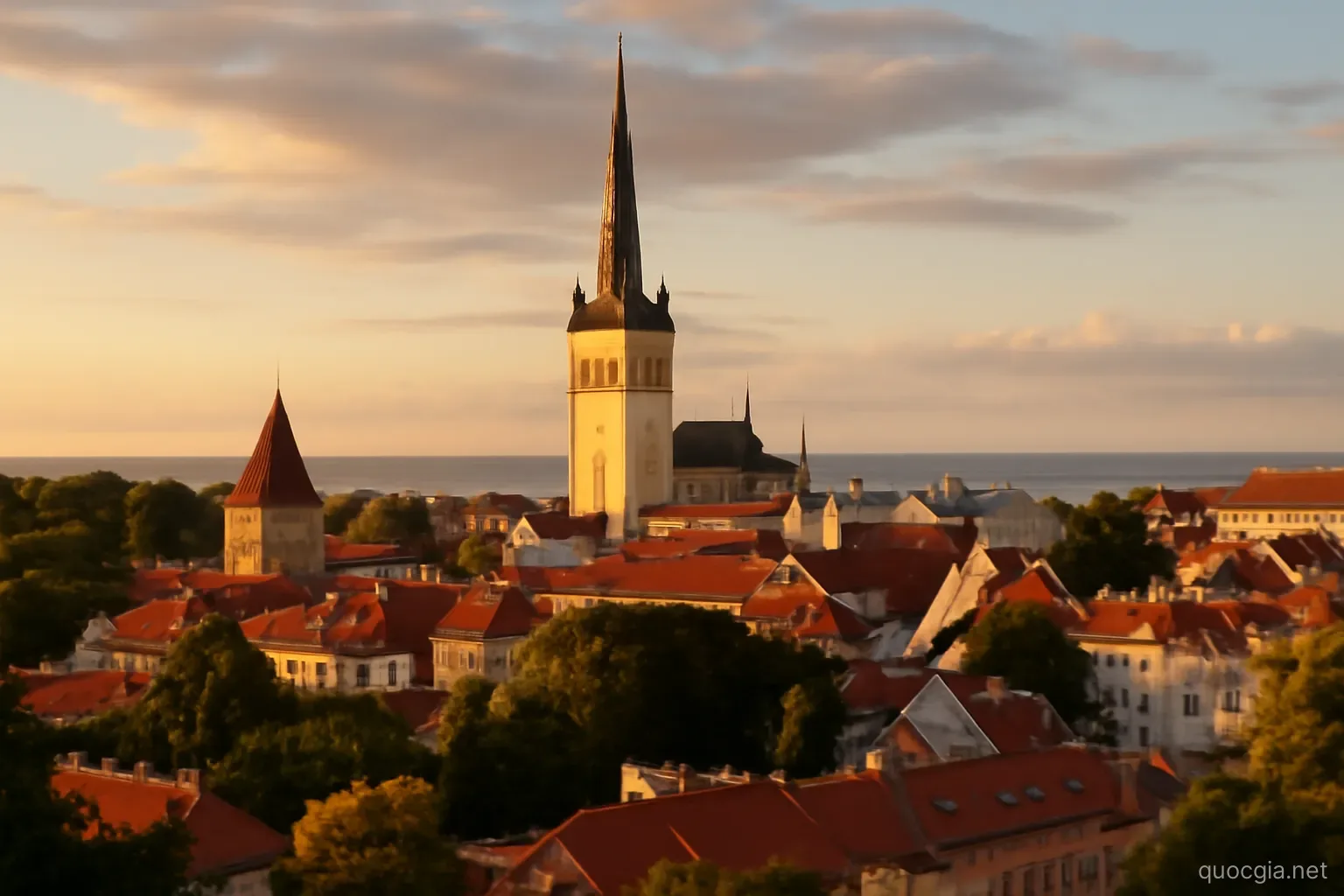 Estonia: Quốc gia số hóa nhất thế giới nơi khai sinh cư trú điện tử cho công dân toàn cầu